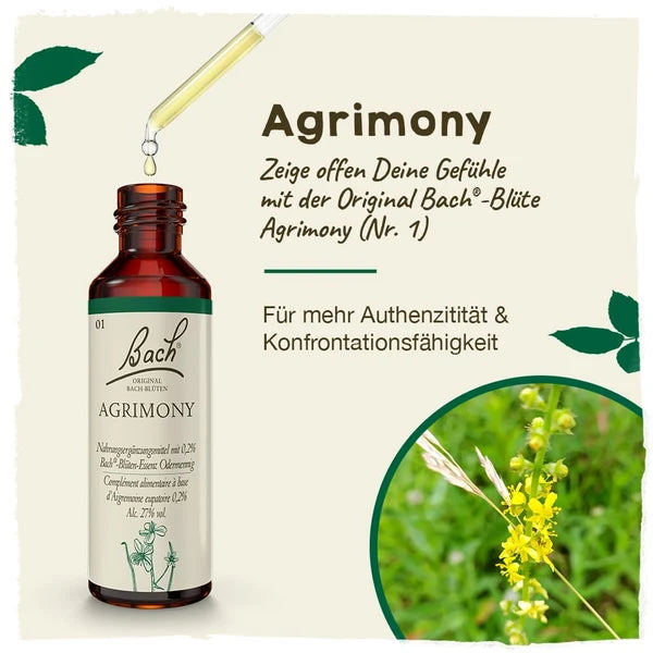 Bach®-Blüte Nr. 1 Agrimony (Odermenning), 20 ml