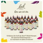 Bach®-Blüte Nr. 19 Larch (Lärche), 20 ml