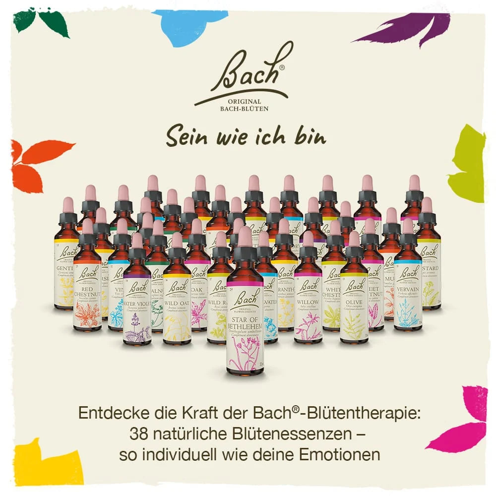 Bach®-Blüte Nr. 19 Larch (Lärche), 20 ml