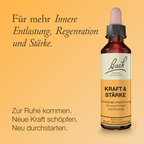 Bach®-Blütenmischung Kraft & Stärke, 20 ml