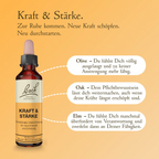 Bach®-Blütenmischung Kraft & Stärke, 20 ml