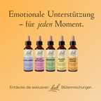 Bach®-Blütenmischung Kraft & Stärke, 20 ml