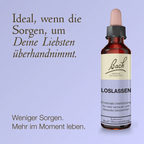 Bach®-Blütenmischung Loslassen, 20 ml