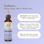 Bach®-Blütenmischung Loslassen, 20 ml