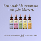 Bach®-Blütenmischung Loslassen, 20 ml