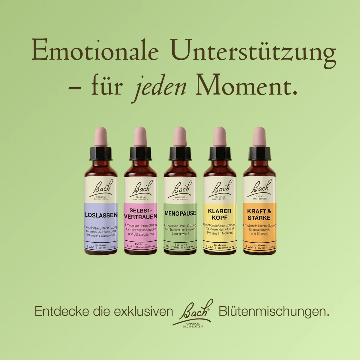 Bach®-Blütenmischung Menopause, 20 ml