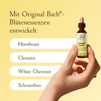 Bach®-Blütenmischung klarer Kopf, 20 ml