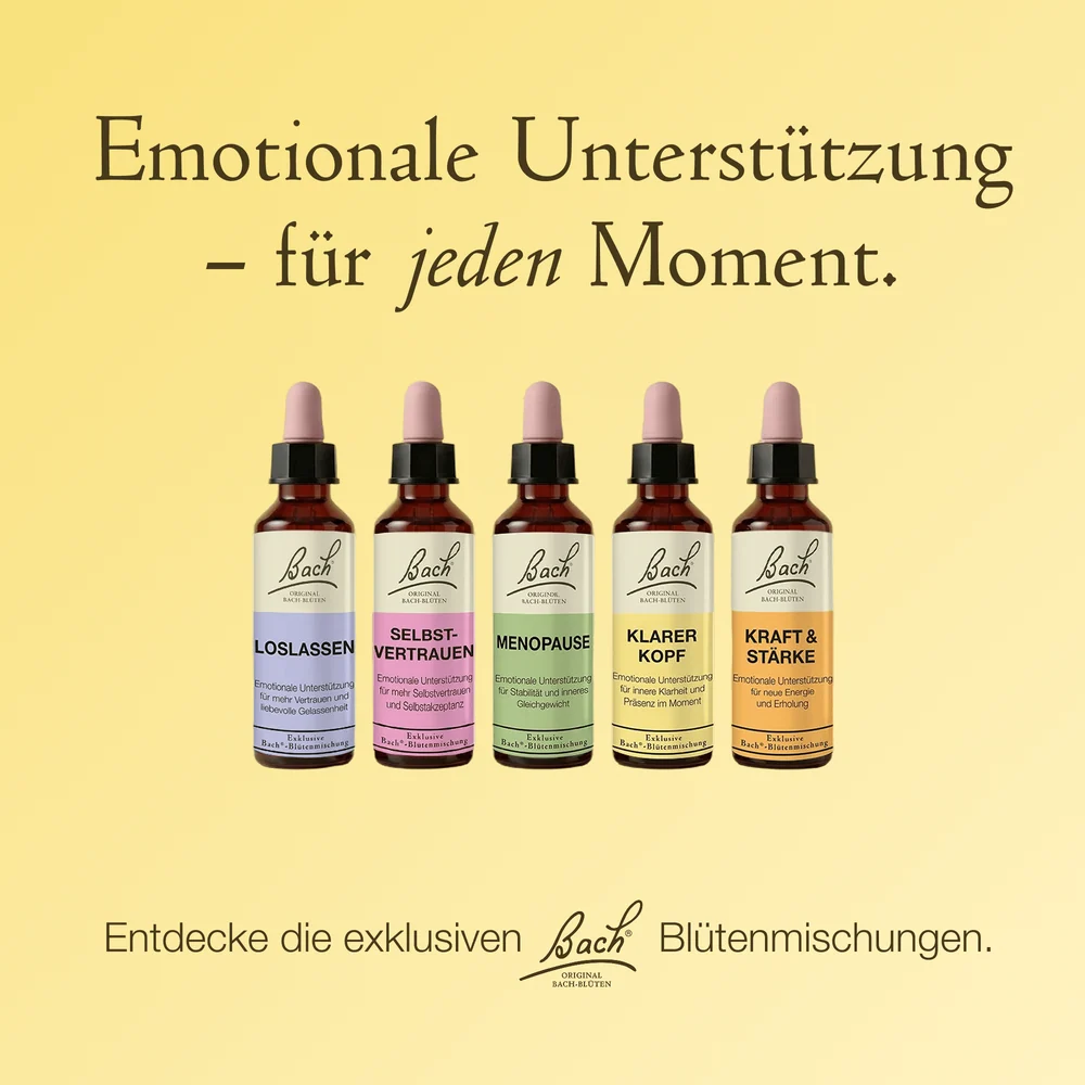 Bach®-Blütenmischung klarer Kopf, 20 ml