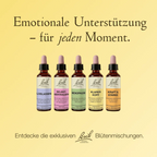 Bach®-Blütenmischung klarer Kopf, 20 ml
