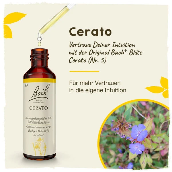 Bach®-Blüte Nr. 5 Cerato (Bleiwurz), 20 ml