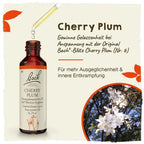 Bach®-Blüte Nr. 6 Cherry Plum (Kirschpflaume), 20 ml