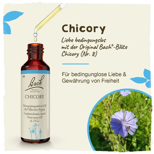 Bach®-Blüte Nr. 8 Chicory (Wegwarte), 20 ml