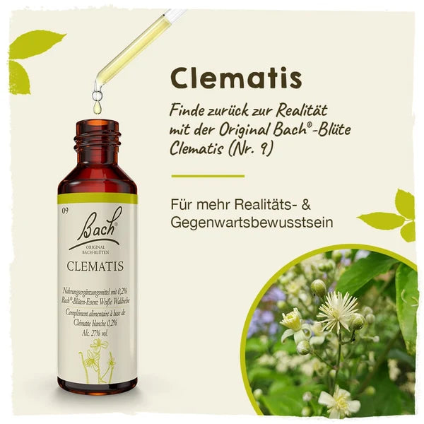 Bach®-Blüte Nr. 9 Clematis (Weiße Waldrebe), 20 ml