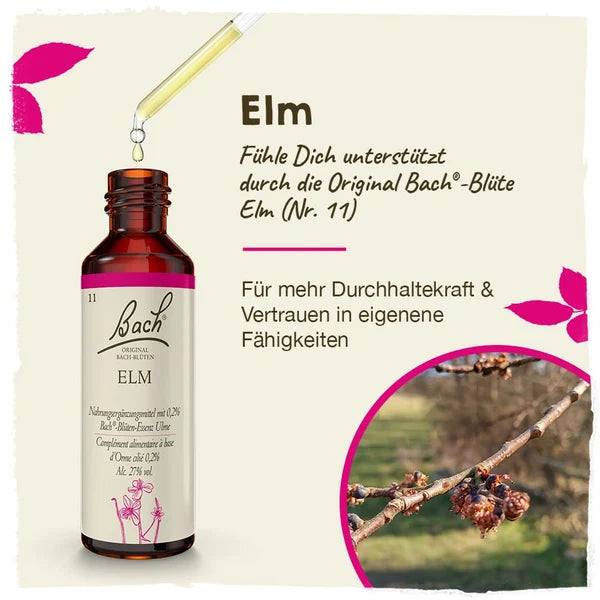 Bach®-Blüte Nr. 11 Elm (Ulme), 20 ml