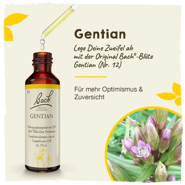 Bach®-Blüte Nr. 12 Gentian (Herbstenzian), 20 ml