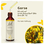 Bach®-Blüte Nr. 13 Gorse (Stechginster), 20 ml