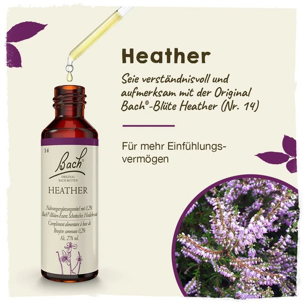 Bach®-Blüte Nr. 14 Heather (Schottisches Heidekraut), 20 ml