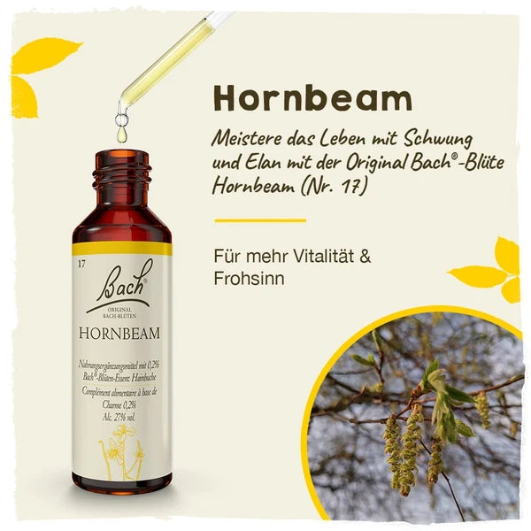 Bach®-Blüte Nr. 17 Hornbeam (Hainbuche), 20 ml