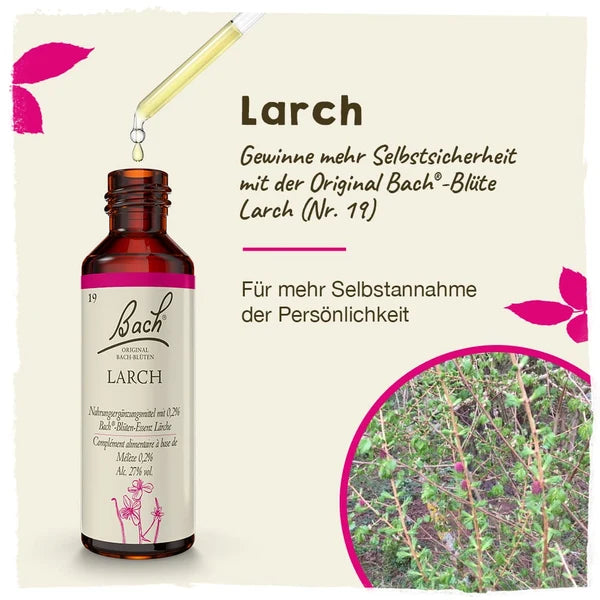 Bach®-Blüte Nr. 19 Larch (Lärche), 20 ml