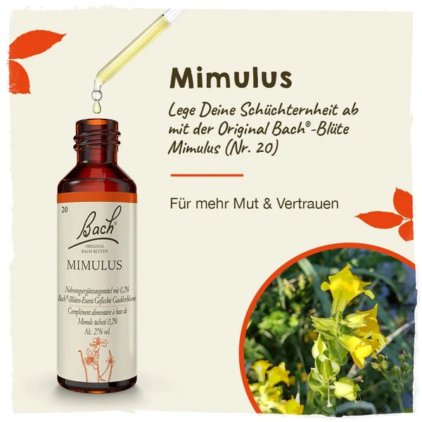 Bach®-Blüte Nr. 20 Mimulus (Gefleckte Gauklerblume), 20 ml