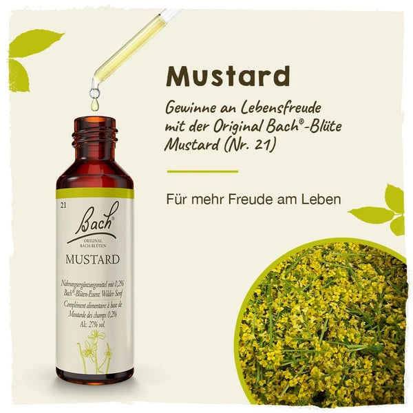 Bach®-Blüte Nr. 21 Mustard (Wilder Senf), 20 ml