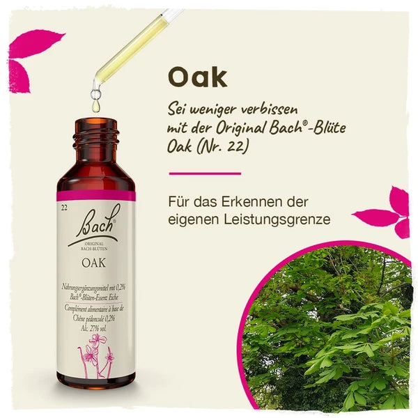 Bach®-Blüte Nr. 22 Oak (Eiche), 20 ml