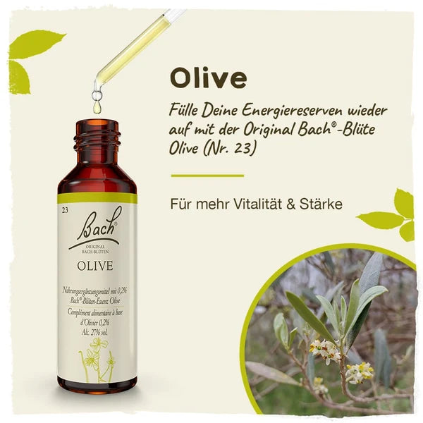 Bach®-Blüte Nr. 23 Olive, 20 ml