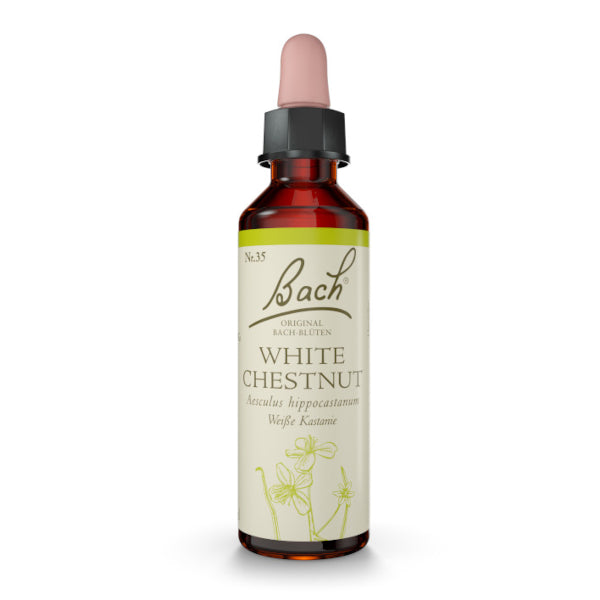 Bach®-Blüte Nr. 35 White Chestnut (Weiße Kastanie), 20 ml