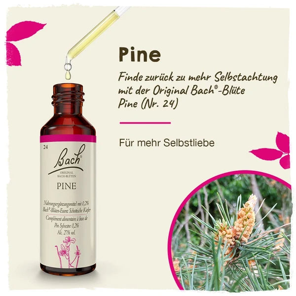 Bach®-Blüte Nr. 24 Pine (Schottische Kiefer), 20 ml