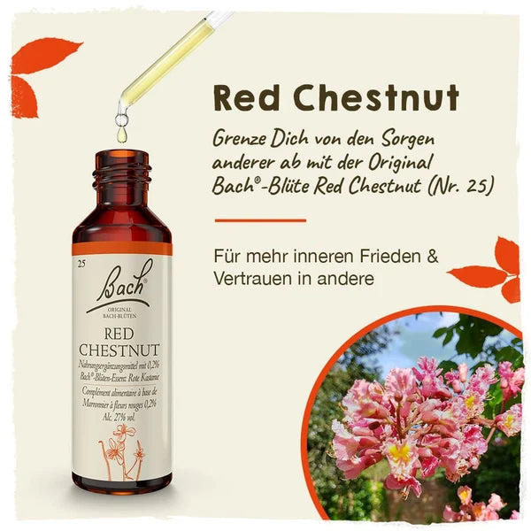 Bach®-Blüte Nr. 25 Red Chestnut (Rote Kastanie), 20 ml