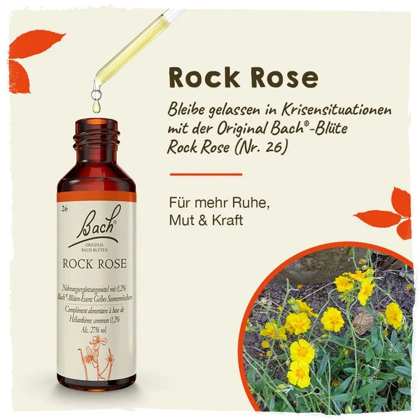 Bach®-Blüte Nr. 26 Rock Rose (Gelbes Sonnenröschen), 20 ml