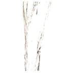 Bach®-Blüte Nr. 27 Rock Water (Felswasser), 20 ml
