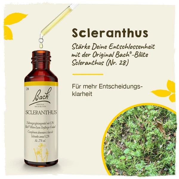 Bach®-Blüte Nr. 28 Scleranthus (Einjähriger Knäuel), 20 ml