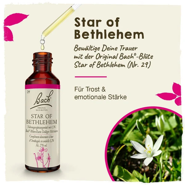 Bach®-Blüte Nr. 29 Star of Bethlehem (Doldiger Milchstern), 20 ml