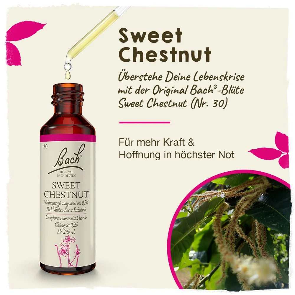 Bach®-Blüte Nr. 30 Sweet Chestnut (Esskastanie), 20 ml