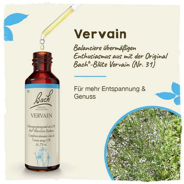 Bach®-Blüte Nr. 31 Vervain (Eisenkraut), 20 ml