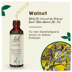 Bach®-Blüte Nr. 33 Walnut (Walnuss), 20 ml