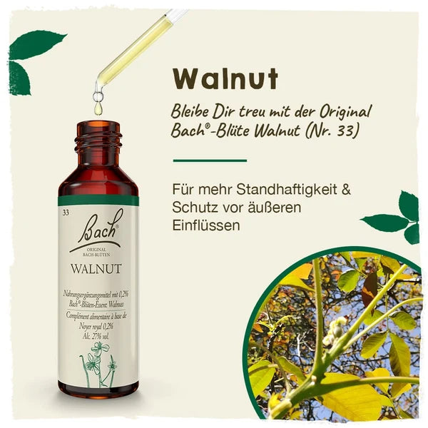 Bach®-Blüte Nr. 33 Walnut (Walnuss), 20 ml