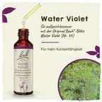 Bach®-Blüte Nr. 34 Water Violet (Sumpfwasserfeder), 20 ml