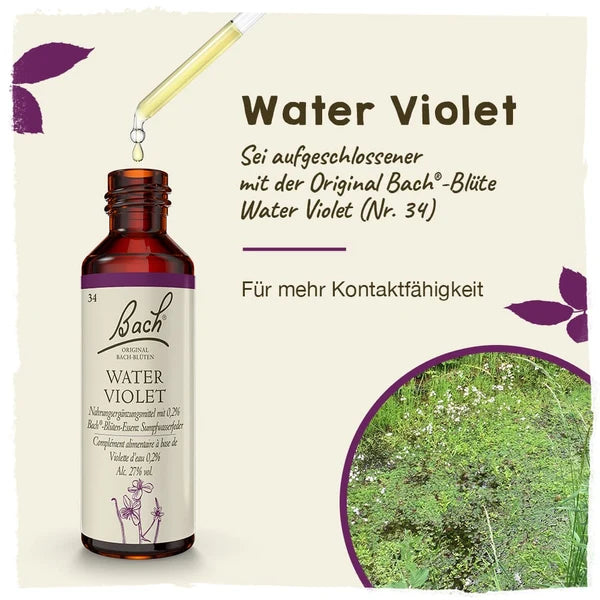 Bach®-Blüte Nr. 34 Water Violet (Sumpfwasserfeder), 20 ml