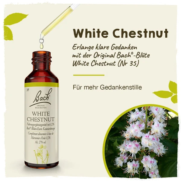 Bach®-Blüte Nr. 35 White Chestnut (Weiße Kastanie), 20 ml