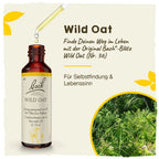 Bach®-Blüte Nr. 36 Wild Oat (Waldtrespe), 20 ml
