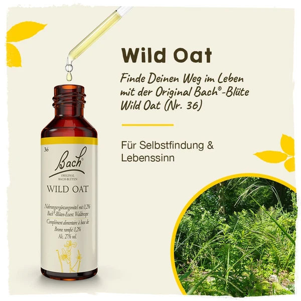 Bach®-Blüte Nr. 36 Wild Oat (Waldtrespe), 20 ml