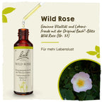 Bach®-Blüte Nr. 37 Wild Rose (Heckenrose), 20 ml