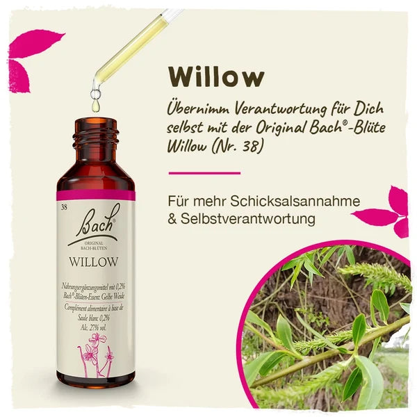 Bach®-Blüte Nr. 38 Willow (Gelbe Weide), 20 ml