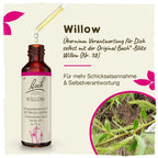 Bach®-Blüte Nr. 38 Willow (Gelbe Weide), 20 ml
